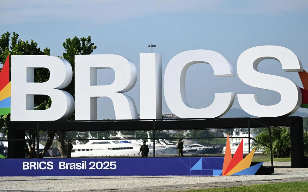 В БРИКС видят решение проблемы социальной несправедливости, заявила эксперт