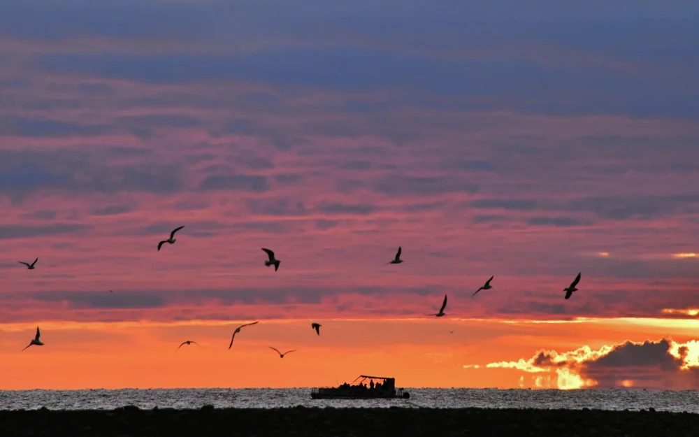Власти Турции утверждают, что российский танкер был атакован в Черном море
