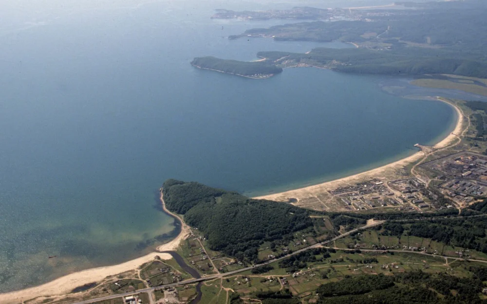 В Приморье обнаружили опасную тропическую микроводоросль