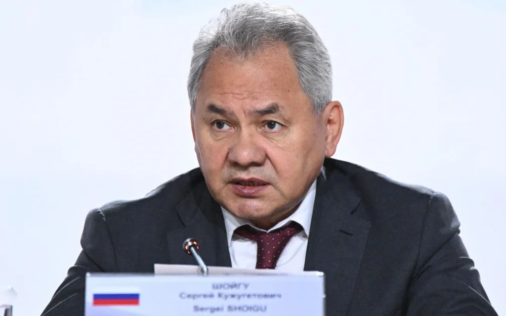 Россия и Китай накопили большой опыт борьбы с милитаризмом, заявил Шойгу