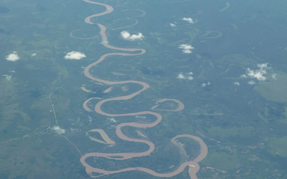 В Гондурасе заявили о фальсификации итогов выборов президента