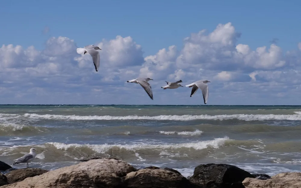 Россияне согласились покинуть самолет, приземлившийся в Актау