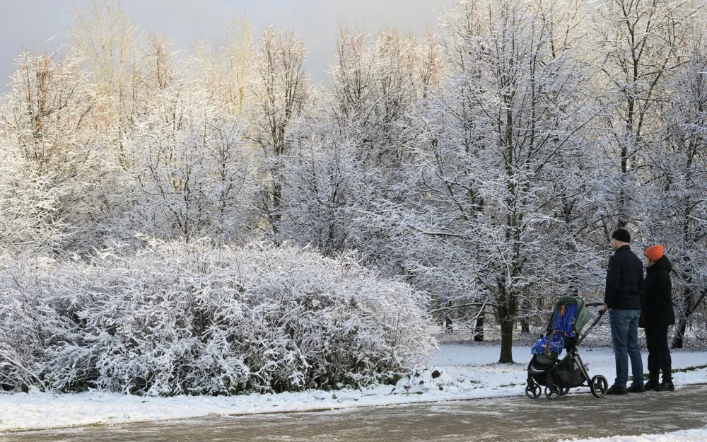 Заморозки вернулись в столичный регион минувшей ночью, заявил синоптик
