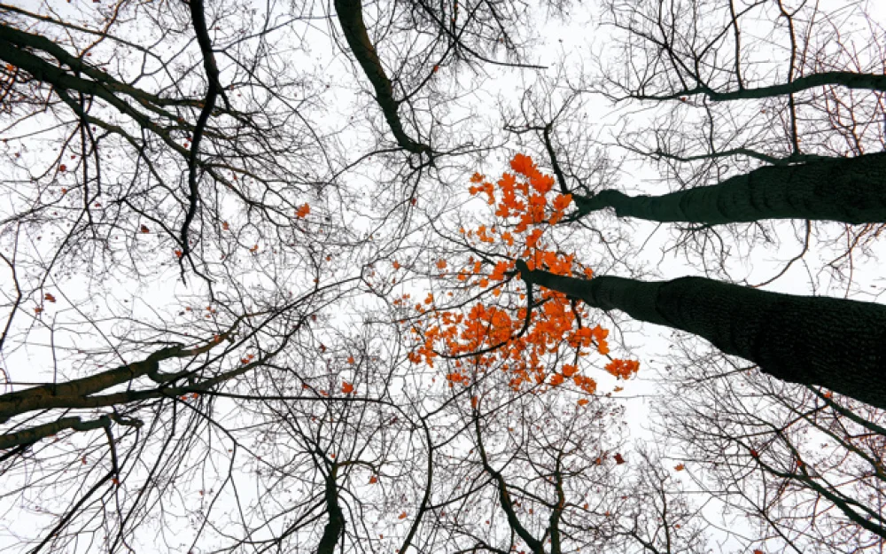 Заводченков спрогнозировал в Центральной России отсутствие осадков