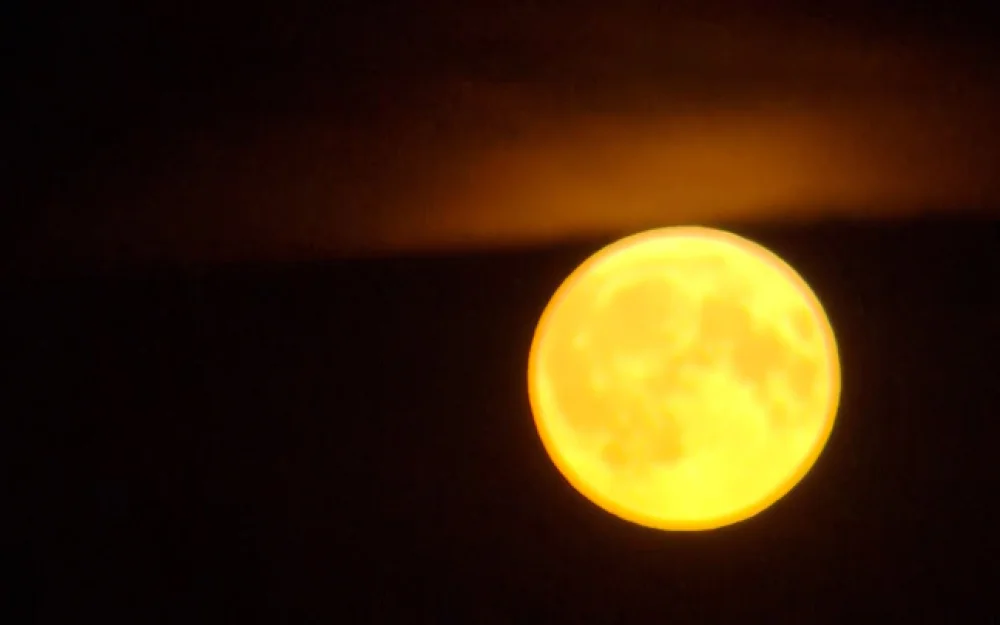 В новогоднюю ночь россияне смогут увидеть покрытие Луной звездного скопления Плеяды