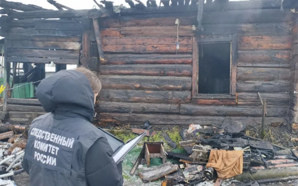 В Алтайском крае двое малышей погибли во время пожара